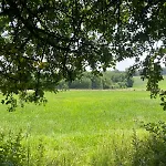 公寓 Gruene Bleibe Im Pfaelzer Wald 皮尔马森斯