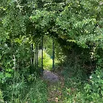 Gruene Bleibe Im Pfaelzer Wald
