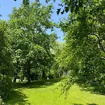公寓 Gruene Bleibe Im Pfaelzer Wald 皮尔马森斯