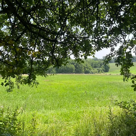 Daire Gruene Bleibe Im Pfaelzer Wald Pirmasens
