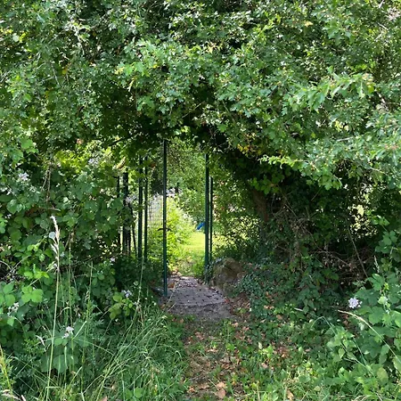 Gruene Bleibe Im Pfaelzer Wald