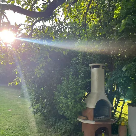 Gruene Bleibe Im Pfaelzer Wald *