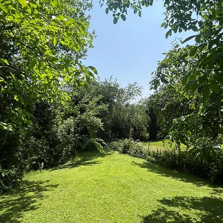 Daire Gruene Bleibe Im Pfaelzer Wald