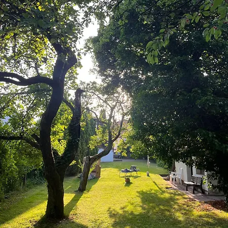 Gruene Bleibe Im Pfaelzer Wald *