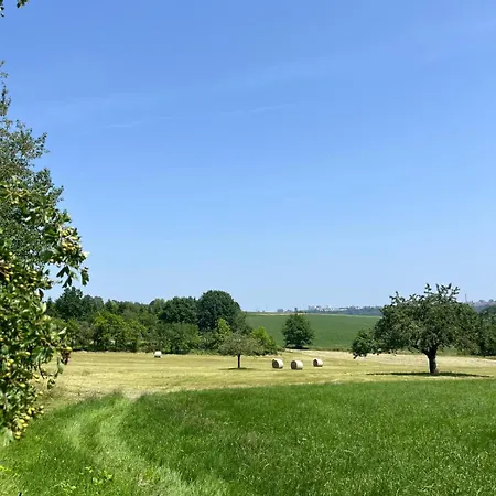 Gruene Bleibe Im Pfaelzer Wald