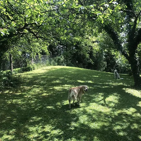 Apartment Gruene Bleibe Im Pfaelzer Wald Pirmasens