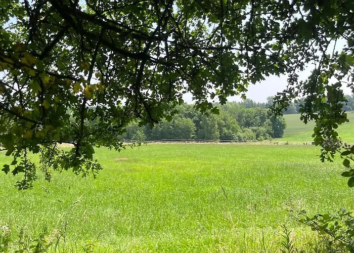 Daire Gruene Bleibe Im Pfaelzer Wald Pirmasens