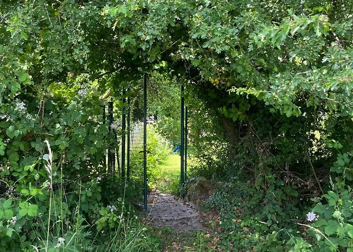 Gruene Bleibe Im Pfaelzer Wald