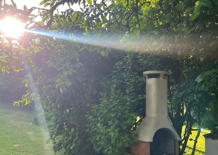 Gruene Bleibe Im Pfaelzer Wald *