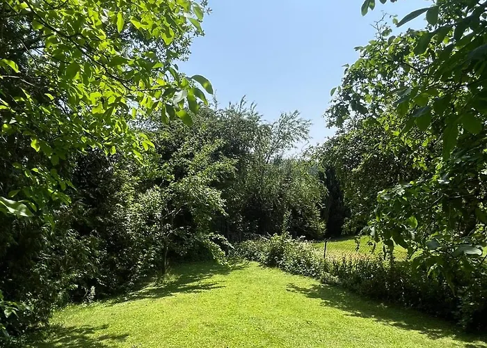 Daire Gruene Bleibe Im Pfaelzer Wald