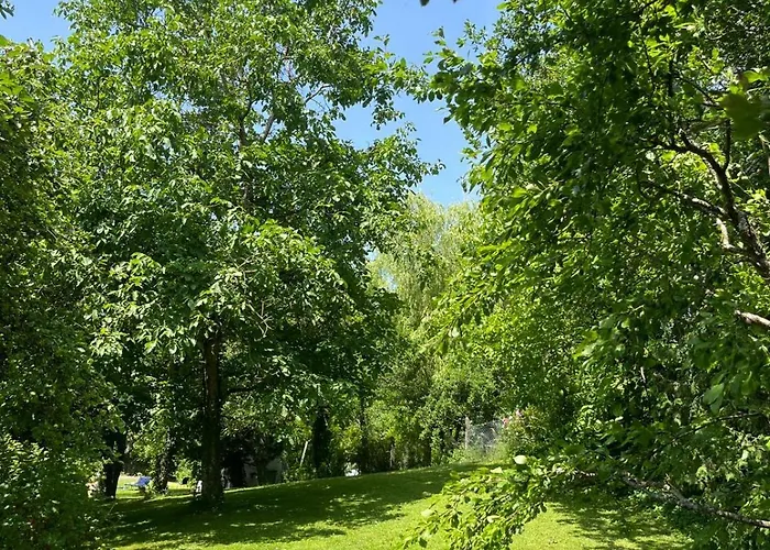 Daire Gruene Bleibe Im Pfaelzer Wald Pirmasens