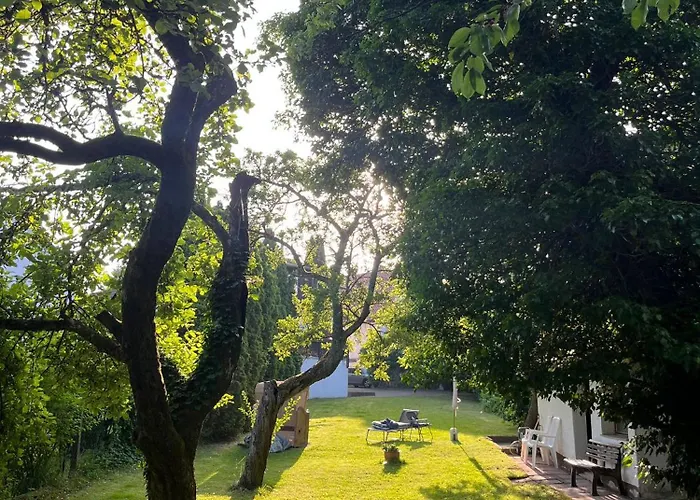 Gruene Bleibe Im Pfaelzer Wald *