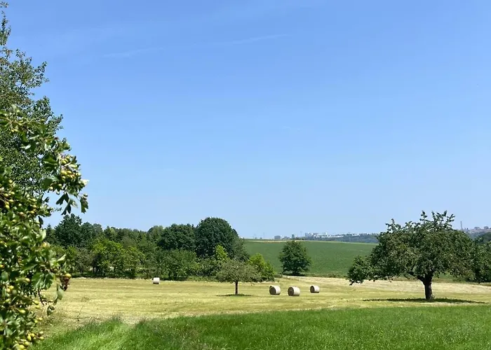 Gruene Bleibe Im Pfaelzer Wald