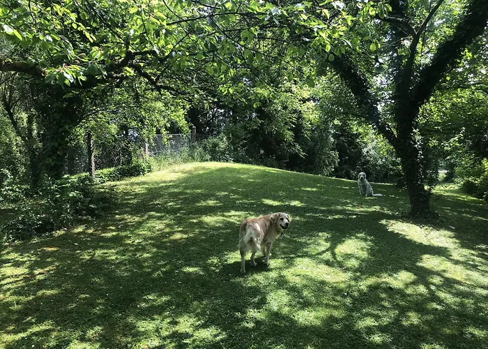 Apartment Gruene Bleibe Im Pfaelzer Wald Pirmasens